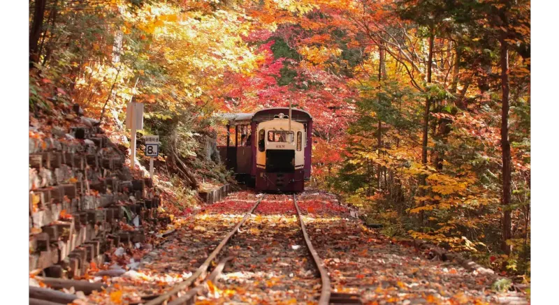 Akasawa Natural Recreation Forest destination