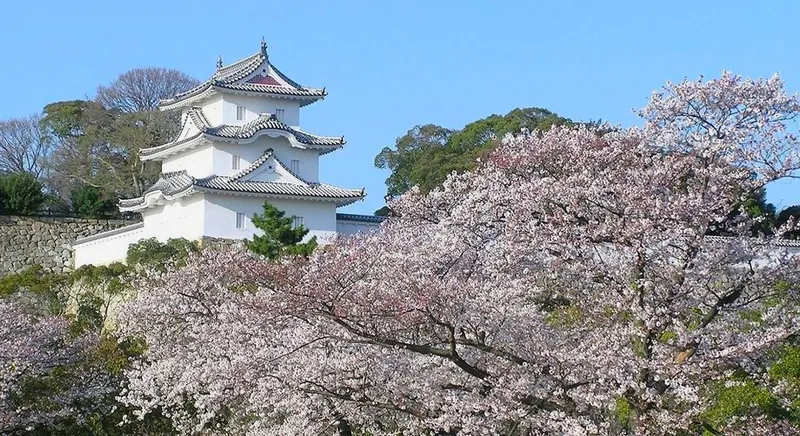 Akashi Park destination