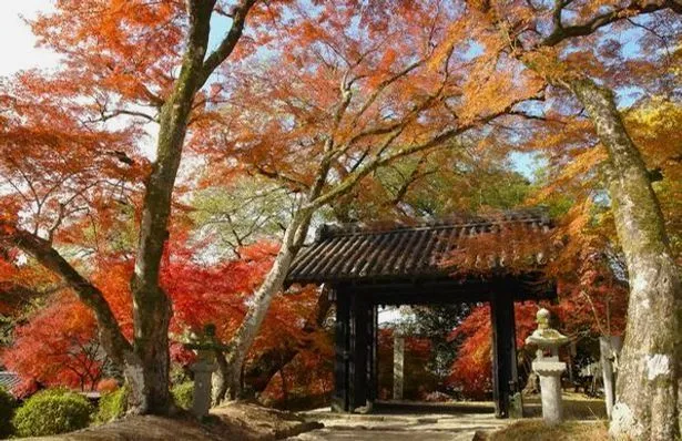 Akizuki Castle destination