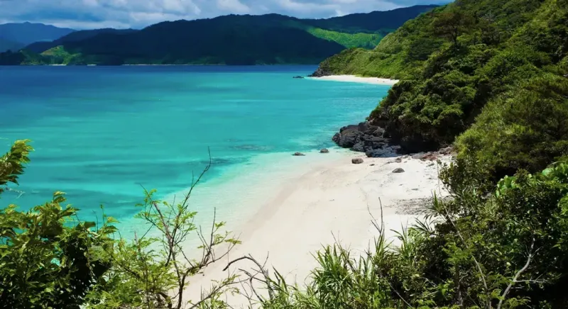 Amami Oshima destination