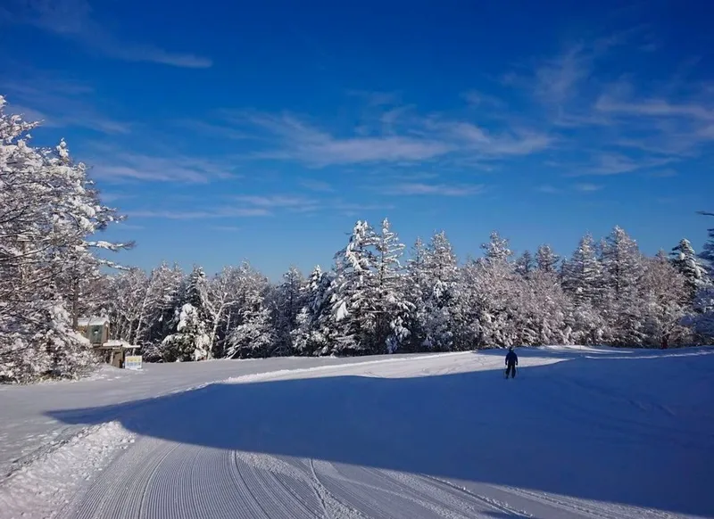 Chateraise Ski Valley Koumi destination