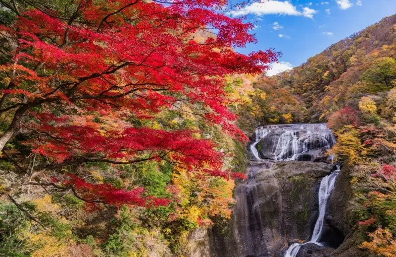 Fukuroda Falls destination