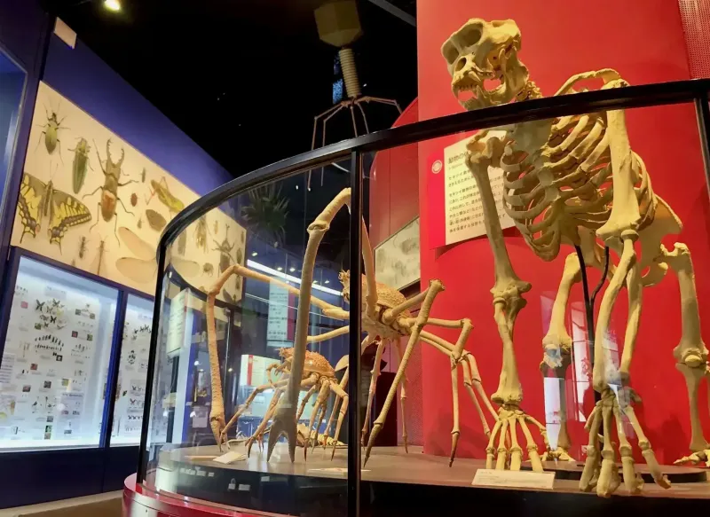 Ibaraki Nature Museum Park destination