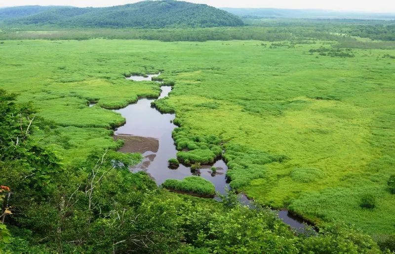 Kushiro Marshlands destination
