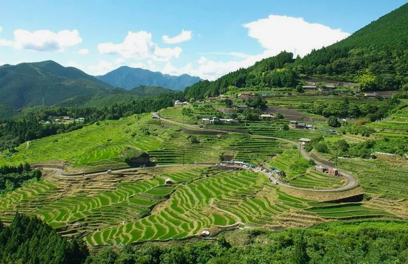 Maruyama Senmaida destination