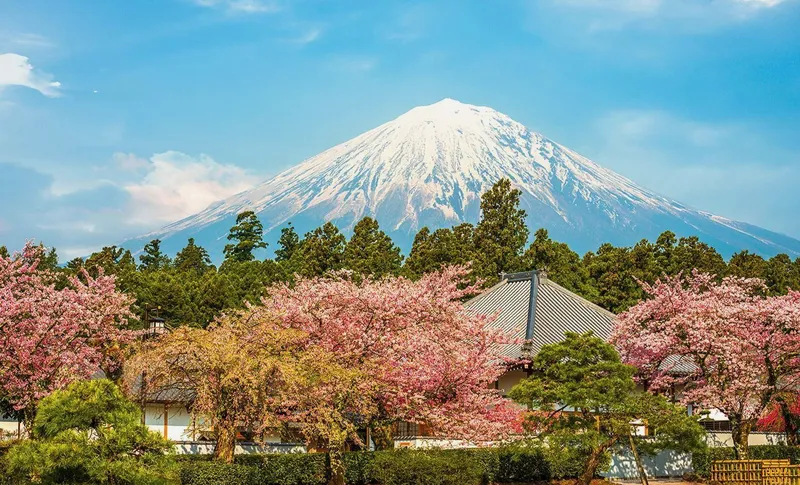 Mount Fuji destination