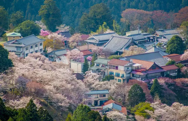 Mount Yoshinoyama destination