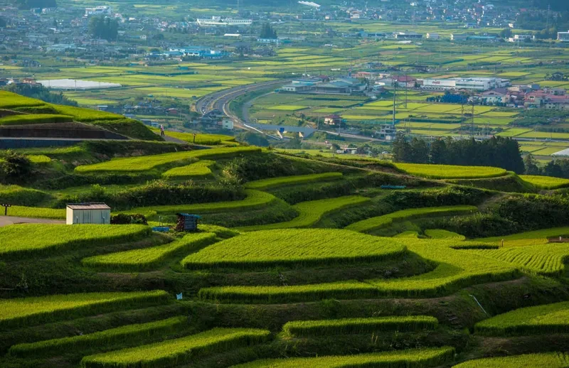 Obasute Rice Terraces destination
