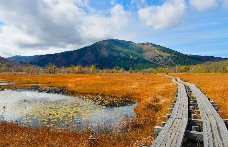 Oze national park destination