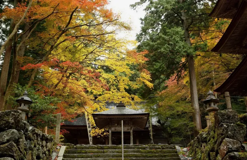 Ryokaizan Yokokura-ji destination