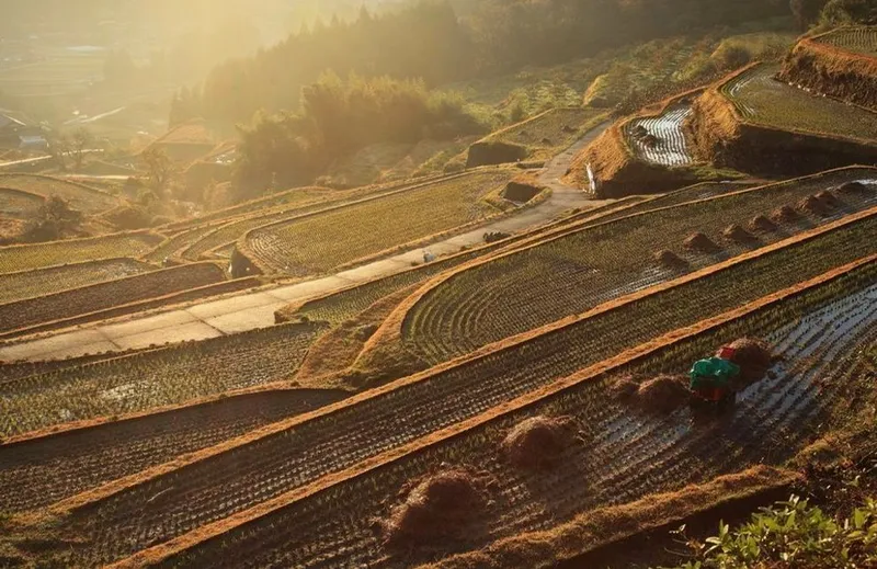 Sakaori Terraced Rice Fields destination