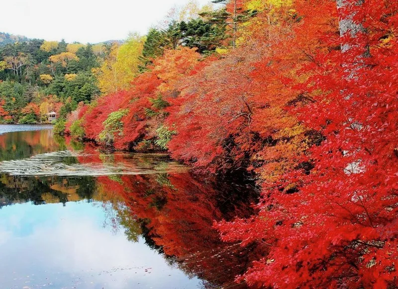 Sakuho destination