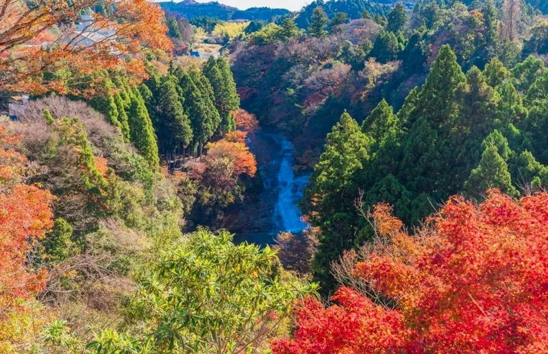 Yoro Valley destination