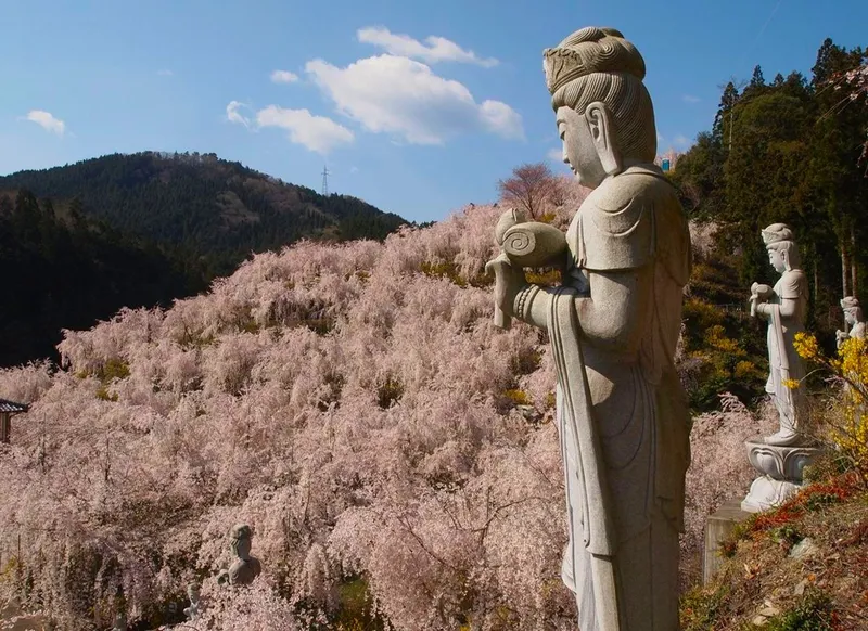 Yukanosato Sakura Park destination